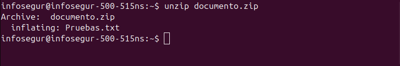 Extraer archivos al directorio actual