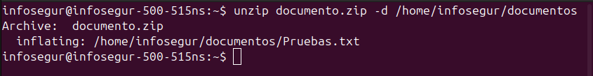 Enviar archivos extraídos a una carpeta específica