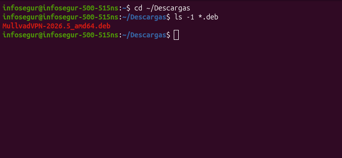 Carpeta Descargas Ubuntu